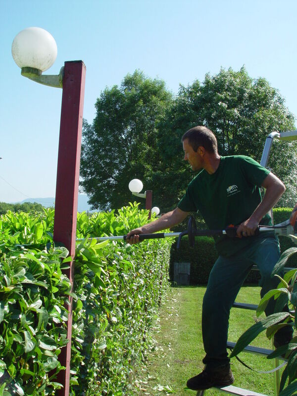 Travaux taille de haies