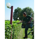 Travaux taille de haies