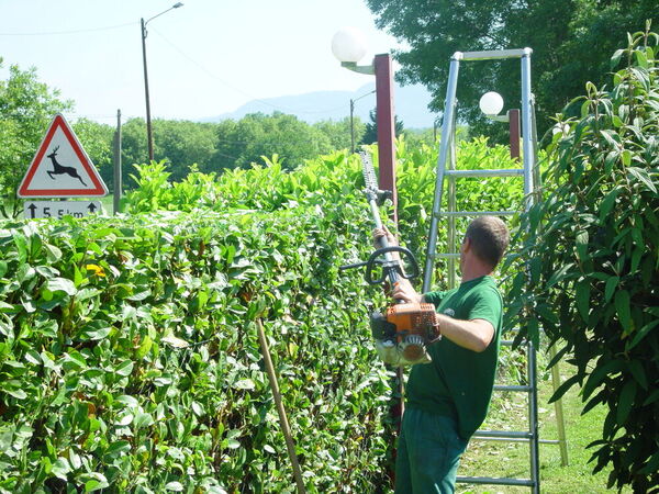 Taille de haies sur chantier avec outils professionnels