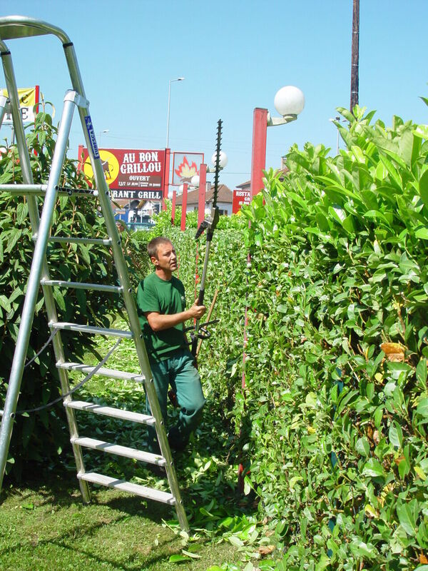 Op&eacute;ration de taille de haies sur site