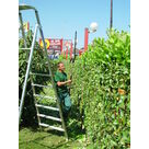 Op&eacute;ration de taille de haies sur site