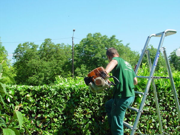 Taille de haies &agrave; Saint-Quentin-sur-Is&egrave;re en cours