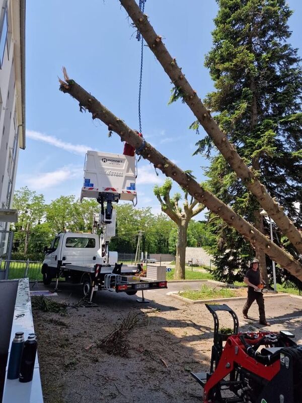 Extraction du sapin et d&eacute;montage s&eacute;curis&eacute;