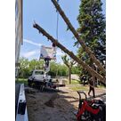 Extraction du sapin et d&eacute;montage s&eacute;curis&eacute;