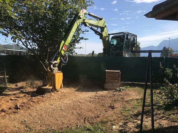 Intervention de rognage de souche en espace restreint