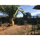 Intervention de rognage de souche en espace restreint