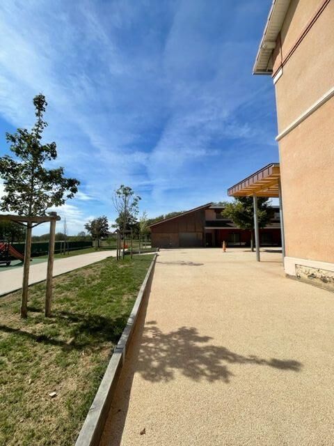 Plantation d'arbres dans une cours d'&eacute;cole