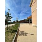 Plantation d'arbres dans une cours d'&eacute;cole