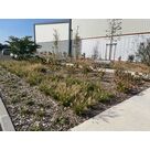 Plantations Saint-Etienne-de-Saint-Geoirs