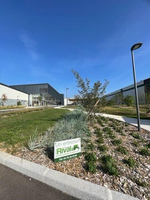 Plantation d'arbustes, arbres et vivaces