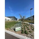 Plantation d'arbustes, arbres et vivaces