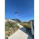 Plantation d'arbustes, arbres et vivaces &agrave; l'ENAC