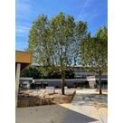 Pose de rev&ecirc;tement drainant pour am&eacute;nagement ext&eacute;rieur