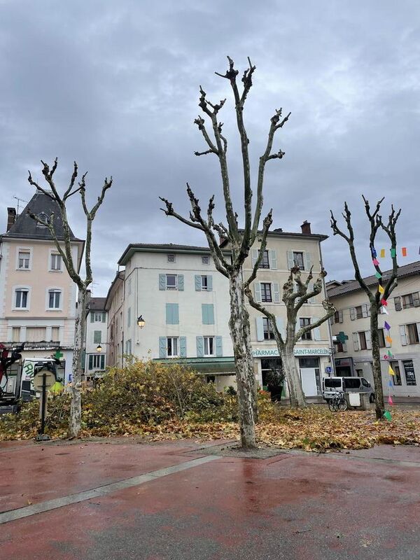 &Eacute;lagage d'arbres &agrave; Saint-Marcellin