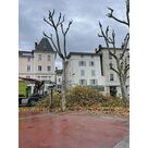 Embellissement des espaces gr&acirc;ce &agrave; l'&eacute;lagage