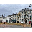 &Eacute;lagage d'arbres en milieu urbain