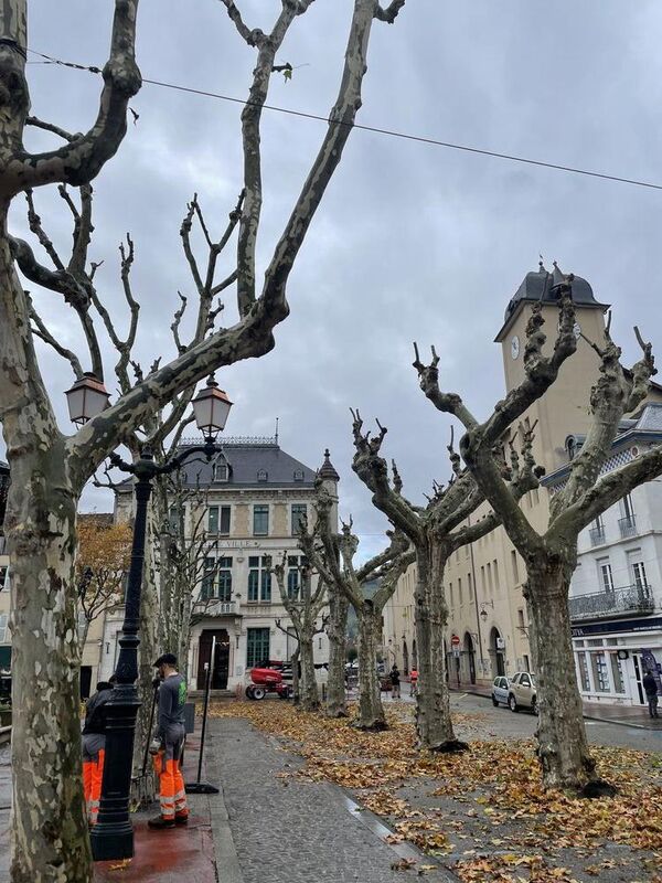 Service d'&eacute;lagage pour espaces publics &agrave; Saint-Marcellin