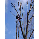 Intervention d'&eacute;lagage avec port d'EPI