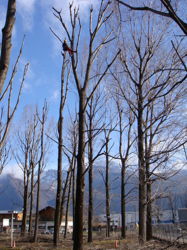 &Eacute;lagage en hauteur r&eacute;alis&eacute; par des professionnels