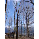 &Eacute;lagage en hauteur r&eacute;alis&eacute; par des professionnels