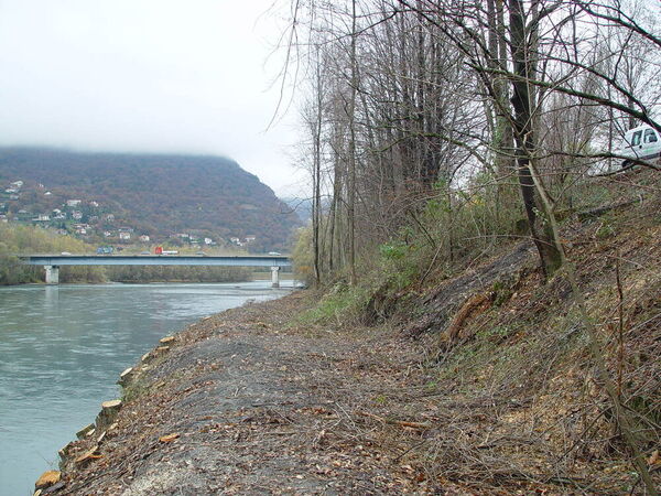 Intervention d'abattage le long des digues de l'Is&egrave;re