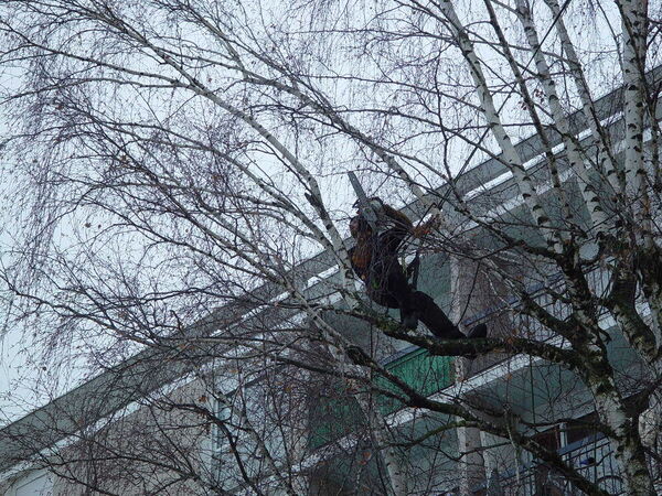 &Eacute;lagage &agrave; Voiron