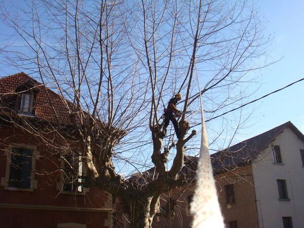 &Eacute;lagage : Intervention en hauteur avec syst&egrave;me de cordes