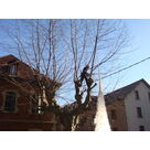 &Eacute;lagage : Intervention en hauteur avec syst&egrave;me de cordes