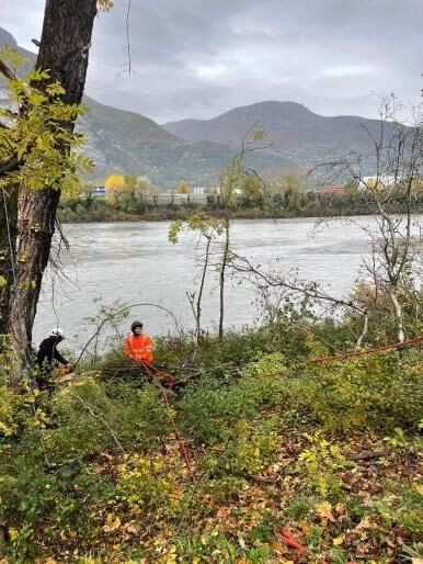 Travaux d'abattage et d'&eacute;lagage &agrave; Saint-&Eacute;gr&egrave;ve