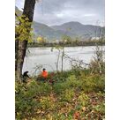 Travaux d'abattage et d'&eacute;lagage &agrave; Saint-&Eacute;gr&egrave;ve