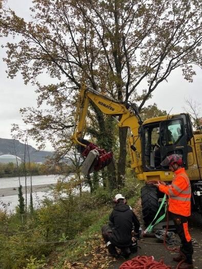 Abattage en cours sur site