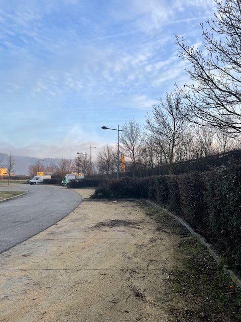 Entretien de haies coupe m&eacute;canique au lamier et finition manuelle