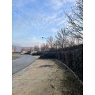 Entretien de haies coupe m&eacute;canique au lamier et finition manuelle