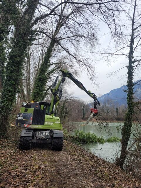 Chantier d'abattage en cours pour l'association syndicale