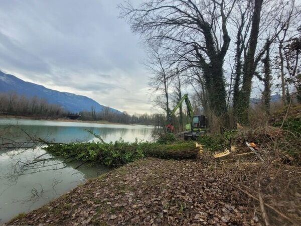 Intervention de travaux d'abattage