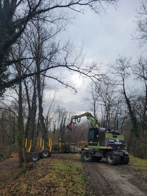 Abattage r&eacute;alis&eacute; pour l'entretien et la s&eacute;curit&eacute;