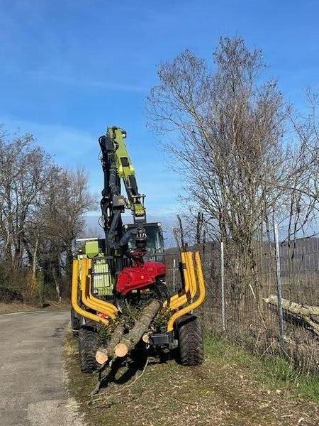 Bois en cours d'&eacute;vacuation apr&egrave;s abattage pour l'AREA