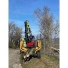 Bois en cours d'&eacute;vacuation apr&egrave;s abattage pour l'AREA