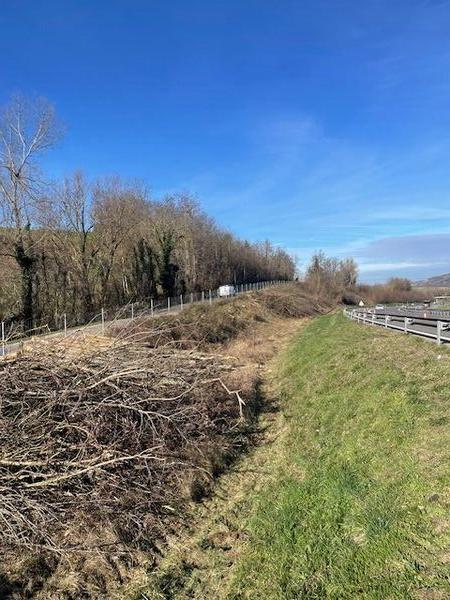 Gestion de la v&eacute;g&eacute;tation en bord de l'autoroute A48