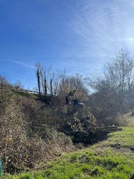 Travaux d'abattage &agrave; Saint-Victor-de-Cessieu