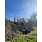 Travaux d'abattage &agrave; Saint-Victor-de-Cessieu