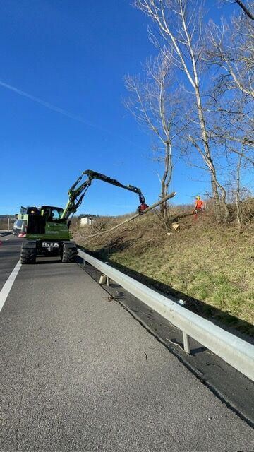 Travaux d'abattage pour l'AREA