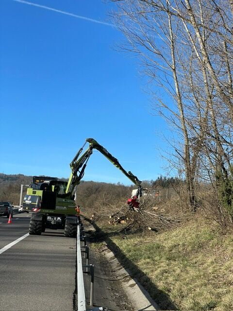 Abattage d'arbre &agrave; La Roche-sur-Foron