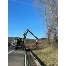 Abattage d'arbre &agrave; La Roche-sur-Foron