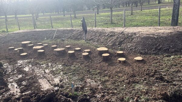 Premiers &eacute;l&eacute;ments ludiques install&eacute;s dans l'aire de jeux publique