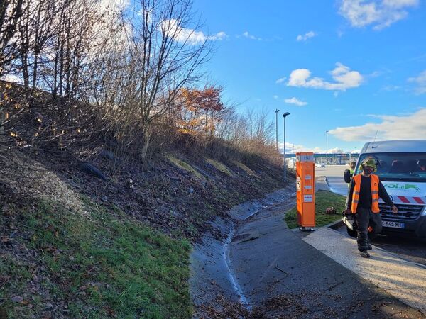 Entretien v&eacute;g&eacute;tation : rec&eacute;page d'arbustes pour l'AREA &agrave; Annecy