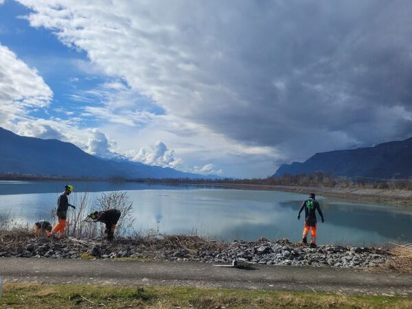 Travaux d'arrachage de ligneux &agrave; Br&eacute;da Cheylas