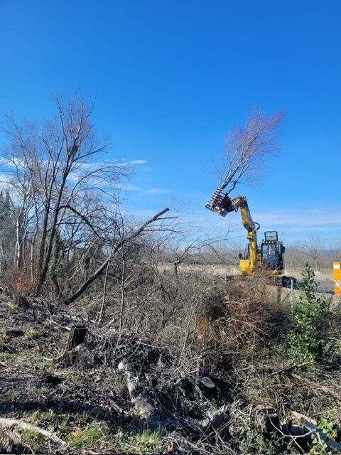 Intervention d'abattage d'arbres &agrave; Valence