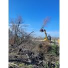 Intervention d'abattage d'arbres &agrave; Valence