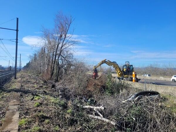 Abattage &agrave; Valence pour Vinci Autoroutes : s&eacute;curisation des voies
